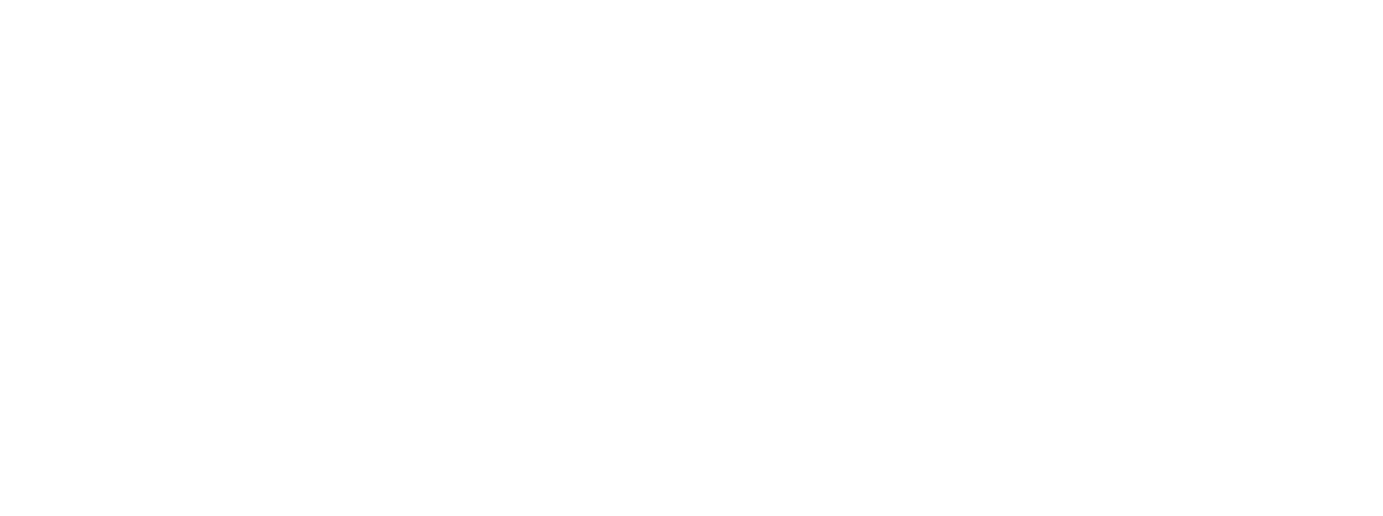 BAYES Analytics Consulting